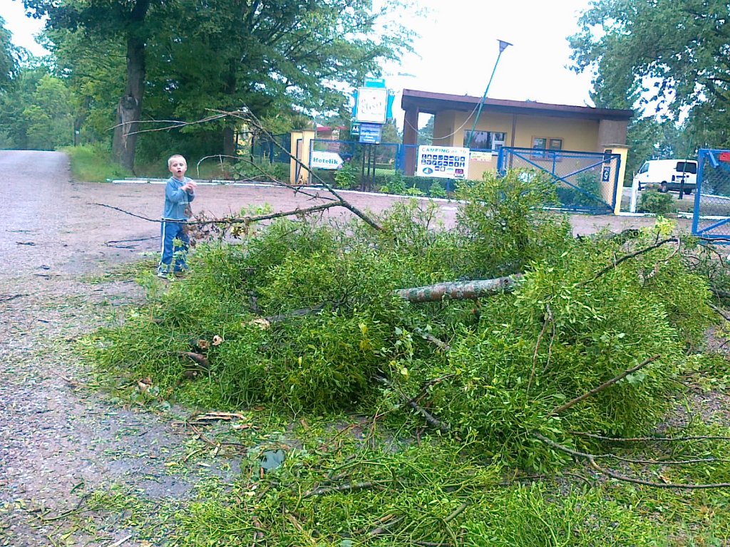 Elixir po burzy 1.jpg